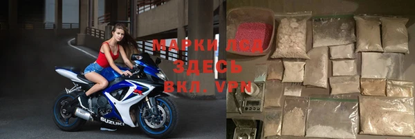 ГАЛЛЮЦИНОГЕННЫЕ ГРИБЫ Баксан
