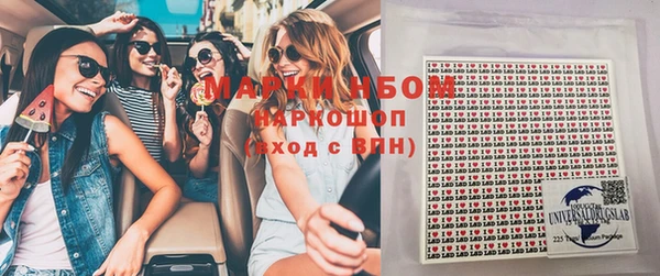 ГАЛЛЮЦИНОГЕННЫЕ ГРИБЫ Баксан